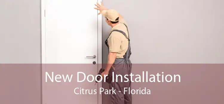 New Door Installation Citrus Park - Florida