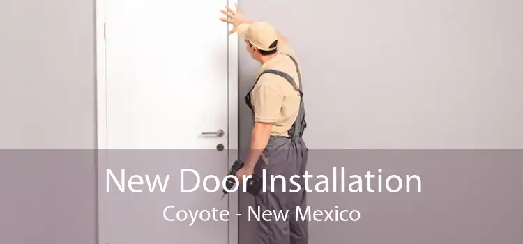 New Door Installation Coyote - New Mexico
