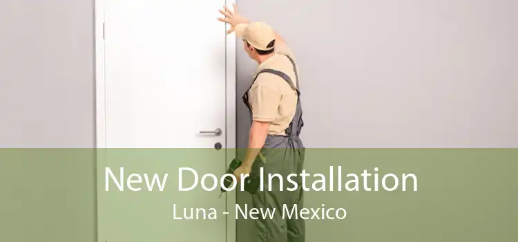 New Door Installation Luna - New Mexico
