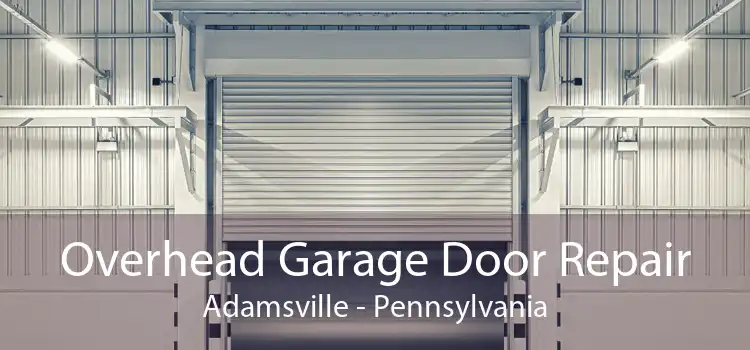 Overhead Garage Door Repair Adamsville - Pennsylvania