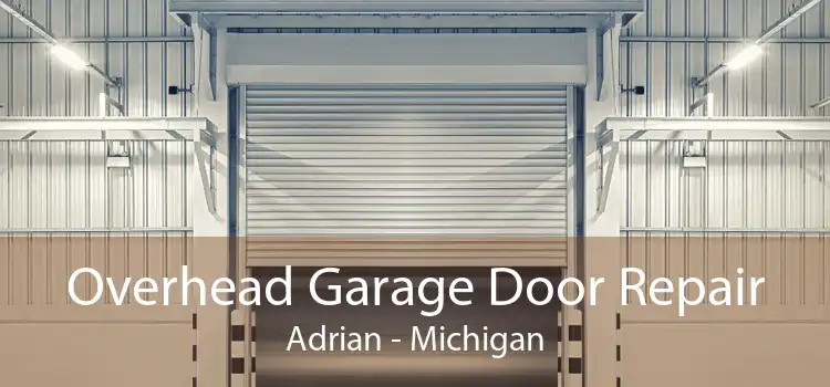 Overhead Garage Door Repair Adrian - Michigan