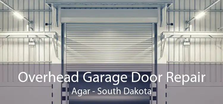 Overhead Garage Door Repair Agar - South Dakota