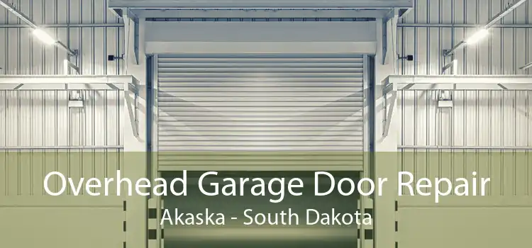 Overhead Garage Door Repair Akaska - South Dakota