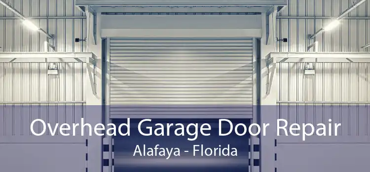 Overhead Garage Door Repair Alafaya - Florida