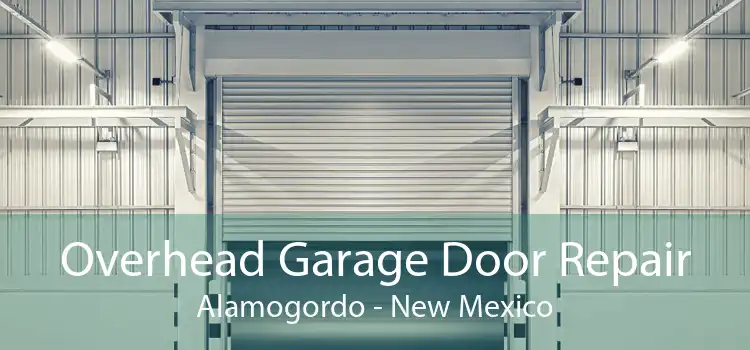 Overhead Garage Door Repair Alamogordo - New Mexico