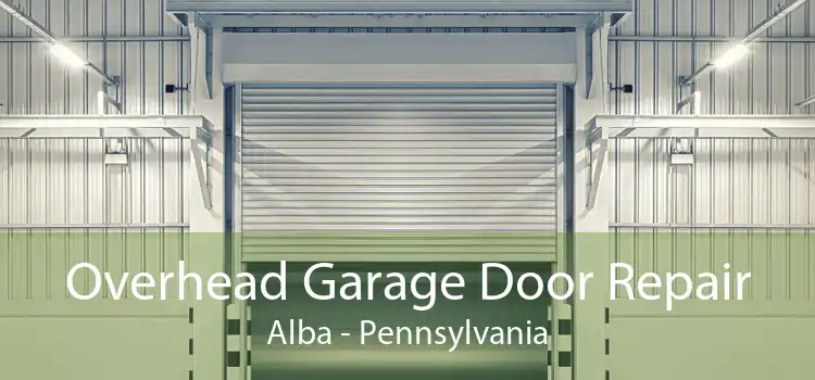 Overhead Garage Door Repair Alba - Pennsylvania