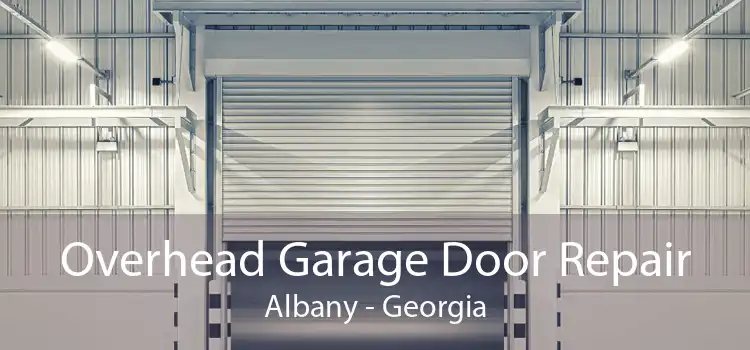 Overhead Garage Door Repair Albany - Georgia