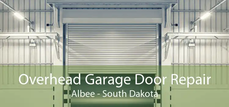 Overhead Garage Door Repair Albee - South Dakota