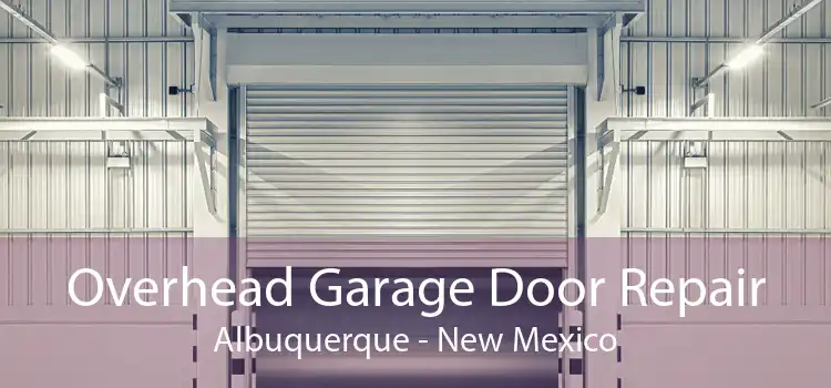 Overhead Garage Door Repair Albuquerque - New Mexico
