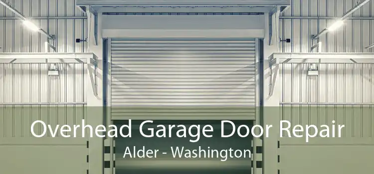 Overhead Garage Door Repair Alder - Washington