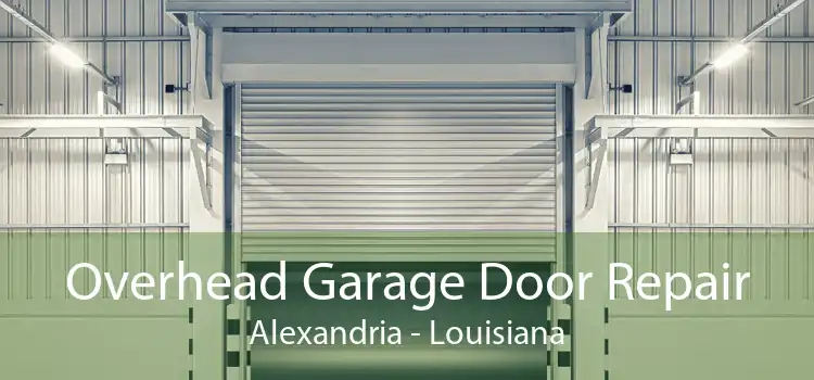 Overhead Garage Door Repair Alexandria - Louisiana