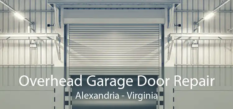Overhead Garage Door Repair Alexandria - Virginia