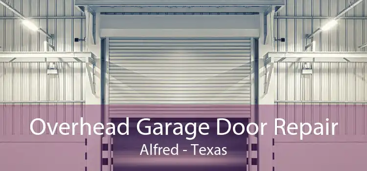 Overhead Garage Door Repair Alfred - Texas