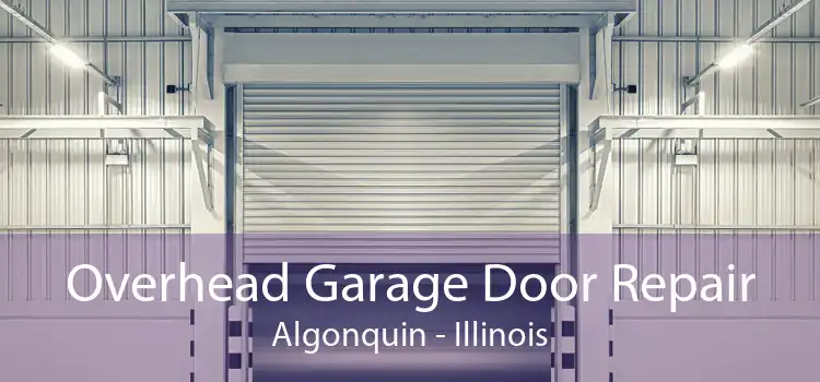 Overhead Garage Door Repair Algonquin - Illinois