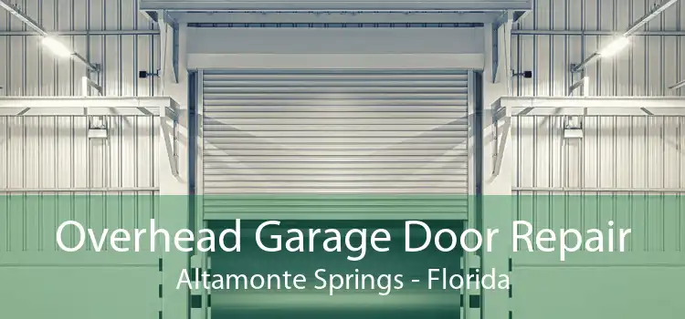 Overhead Garage Door Repair Altamonte Springs - Florida