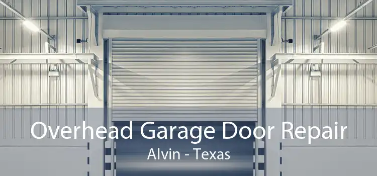 Overhead Garage Door Repair Alvin - Texas