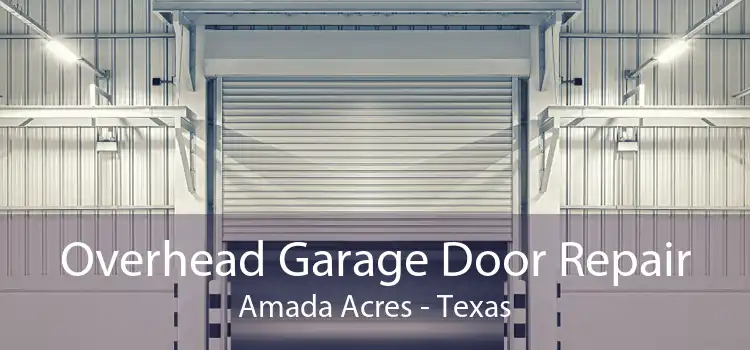Overhead Garage Door Repair Amada Acres - Texas