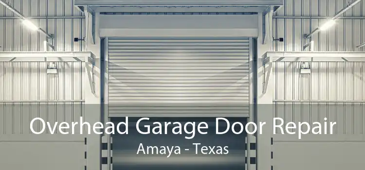 Overhead Garage Door Repair Amaya - Texas