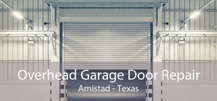 Overhead Garage Door Repair Amistad - Texas