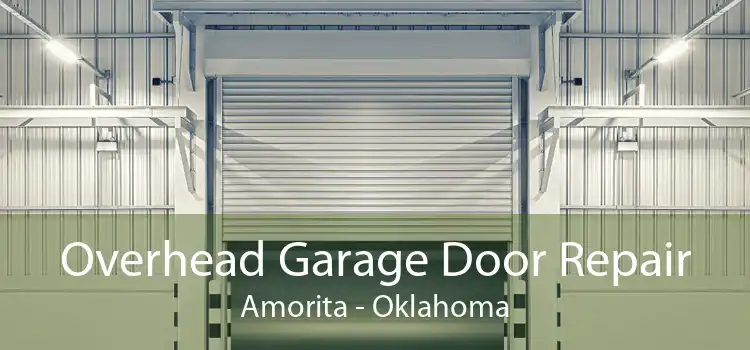 Overhead Garage Door Repair Amorita - Oklahoma