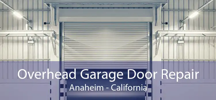 Overhead Garage Door Repair Anaheim - California