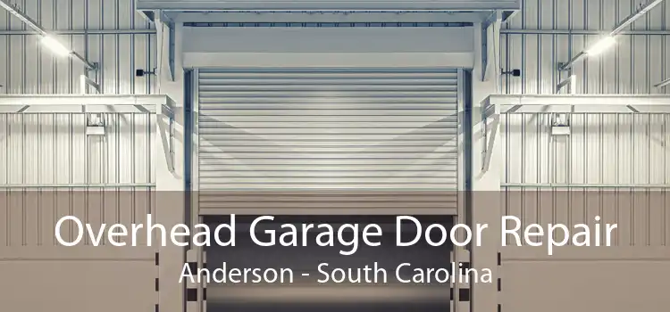Overhead Garage Door Repair Anderson - South Carolina