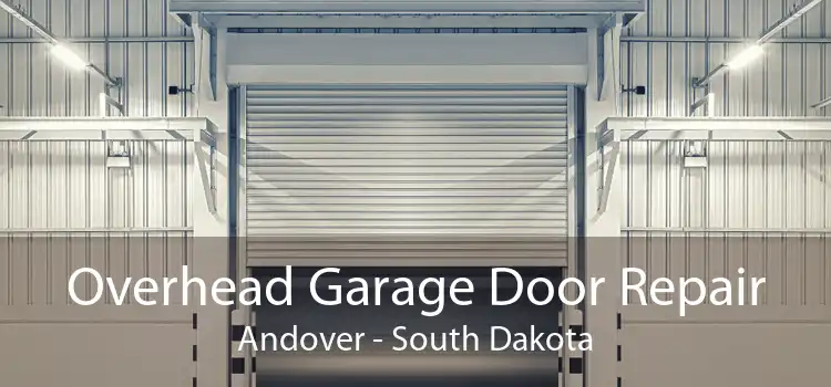 Overhead Garage Door Repair Andover - South Dakota