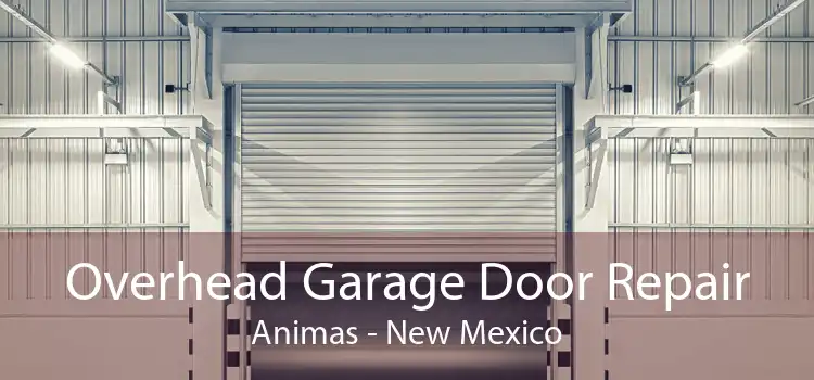 Overhead Garage Door Repair Animas - New Mexico