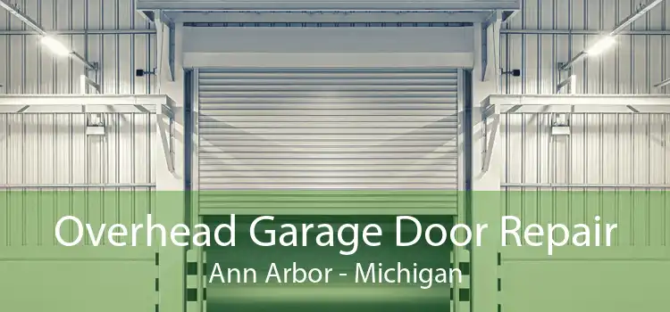 Overhead Garage Door Repair Ann Arbor - Michigan