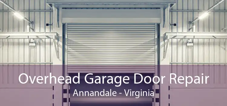 Overhead Garage Door Repair Annandale - Virginia
