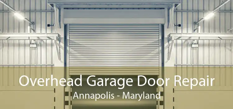 Overhead Garage Door Repair Annapolis - Maryland