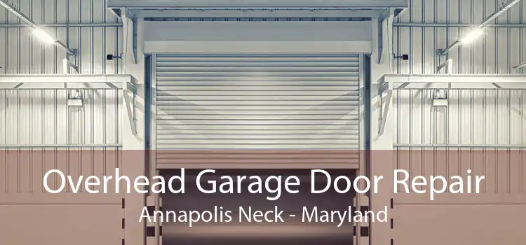Overhead Garage Door Repair Annapolis Neck - Maryland