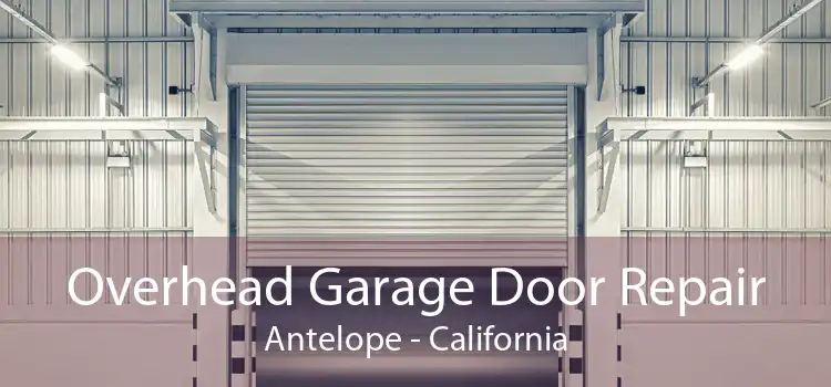 Overhead Garage Door Repair Antelope - California