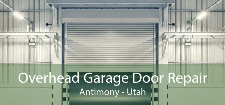 Overhead Garage Door Repair Antimony - Utah