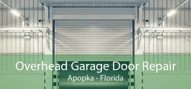Overhead Garage Door Repair Apopka - Florida