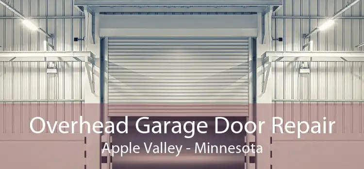 Overhead Garage Door Repair Apple Valley - Minnesota