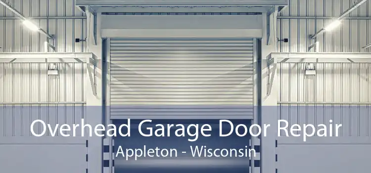 Overhead Garage Door Repair Appleton - Wisconsin