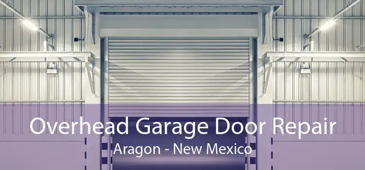 Overhead Garage Door Repair Aragon - New Mexico