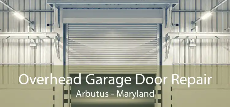 Overhead Garage Door Repair Arbutus - Maryland