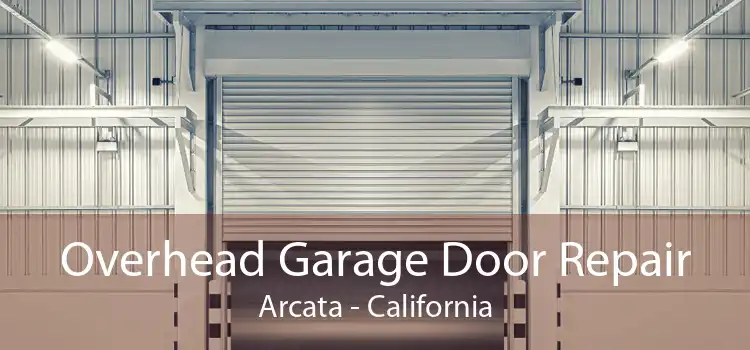 Overhead Garage Door Repair Arcata - California