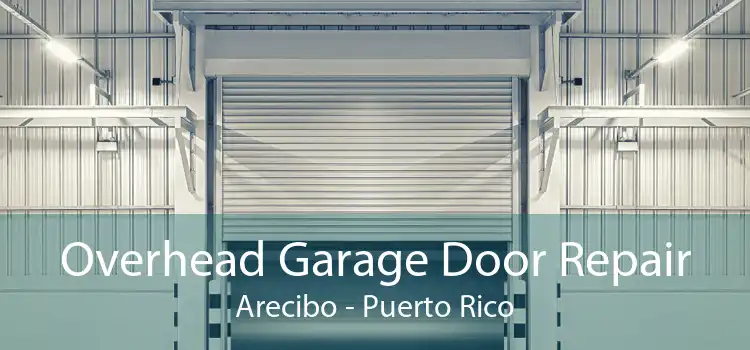 Overhead Garage Door Repair Arecibo - Puerto Rico