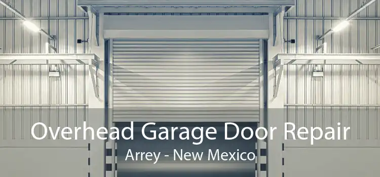 Overhead Garage Door Repair Arrey - New Mexico
