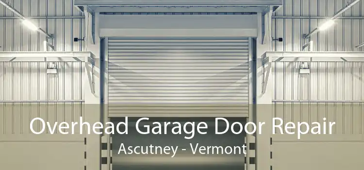 Overhead Garage Door Repair Ascutney - Vermont