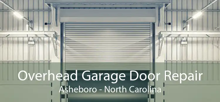 Overhead Garage Door Repair Asheboro - North Carolina