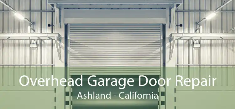 Overhead Garage Door Repair Ashland - California