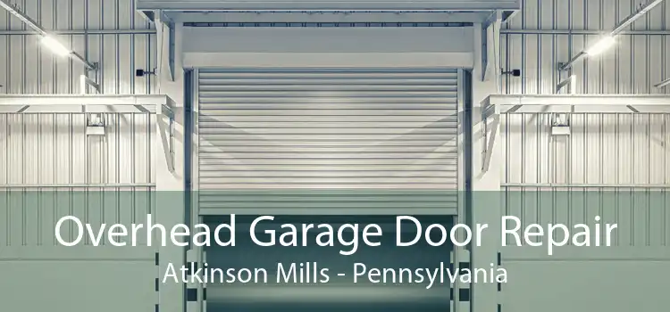 Overhead Garage Door Repair Atkinson Mills - Pennsylvania