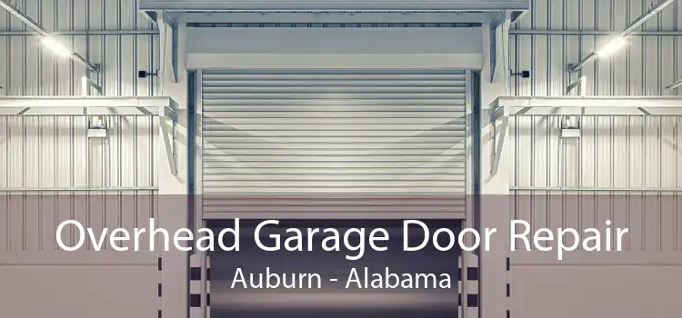 Overhead Garage Door Repair Auburn - Alabama