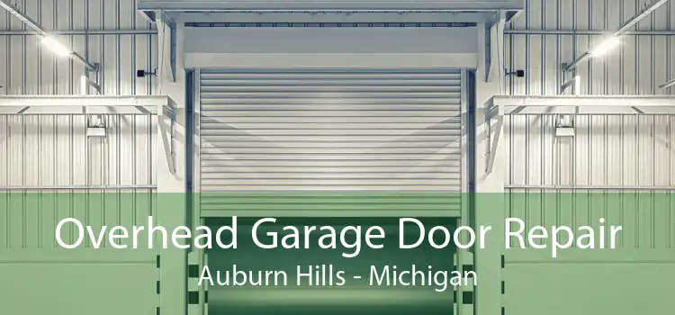 Overhead Garage Door Repair Auburn Hills - Michigan