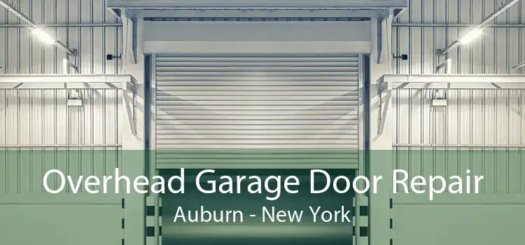 Overhead Garage Door Repair Auburn - New York
