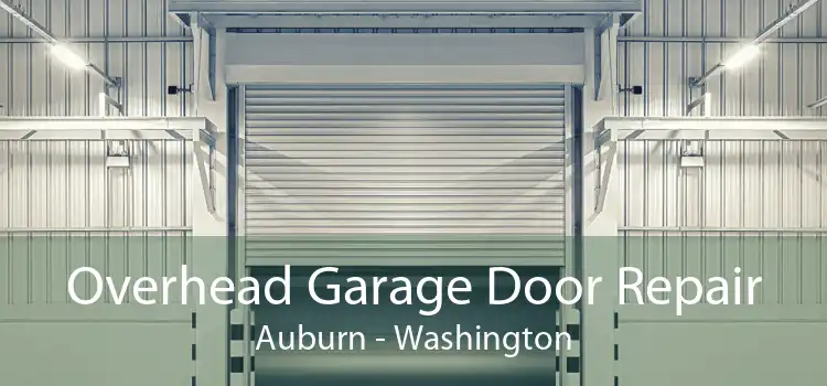 Overhead Garage Door Repair Auburn - Washington